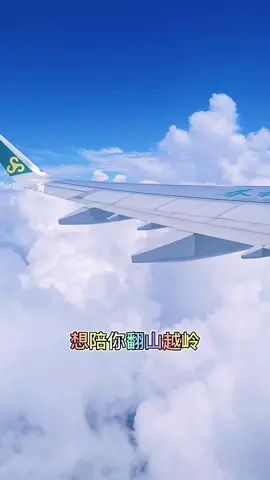 video-2110861