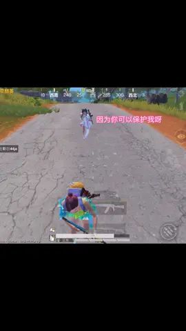 video-2124373