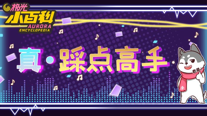 【极光小百科】旋律与节奏带来的奇妙体验截图