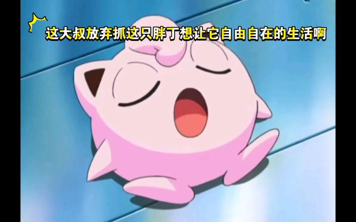 精灵宝可梦 这大叔放弃抓这只胖丁想让它自由自在的生活啊截图