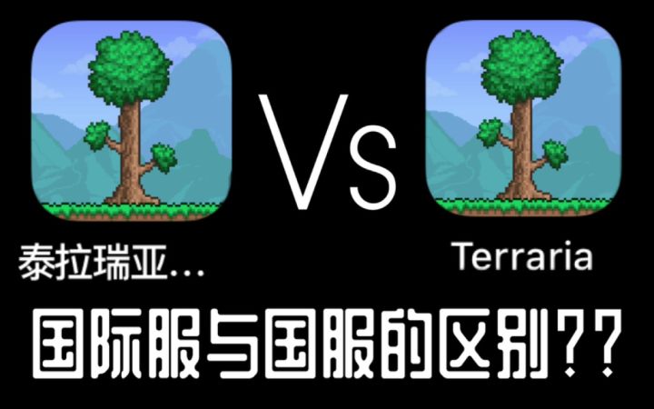 【泰拉瑞亚】国服与国际服有哪些哪些不同的地方？截图