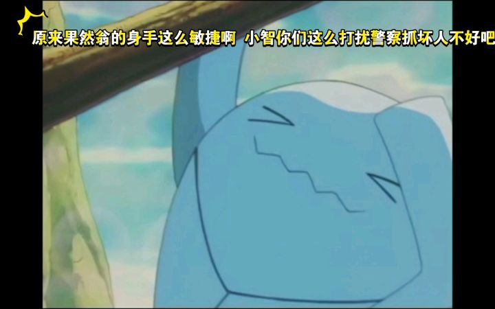 精灵宝可梦 原来果然翁的身手这么敏捷啊 小智你们这么打扰警察抓坏人不好吧截图