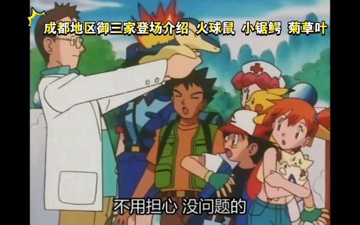 精灵宝可梦 成都地区御三家登场介绍 火球鼠 小锯鳄 菊草叶截图