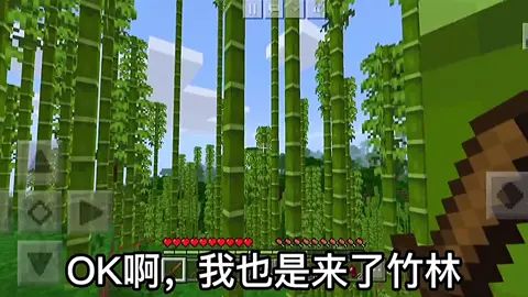 #我是世界 最后有彩蛋截图