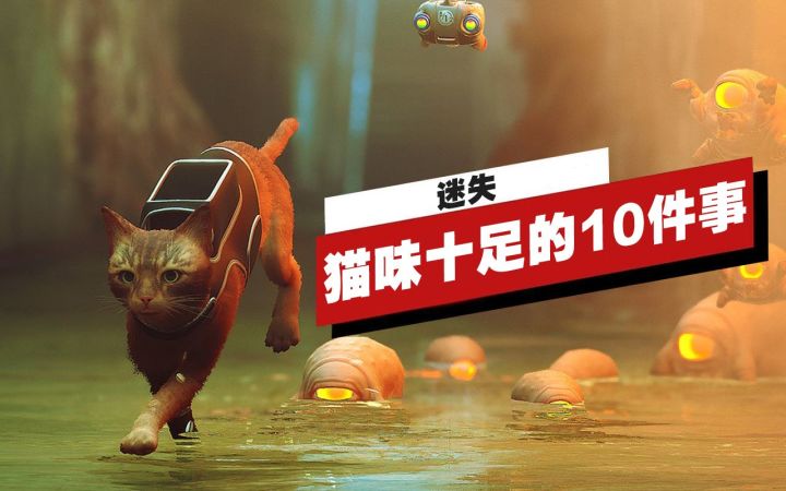 【IGN】《迷失》中猫味十足的10件事截图