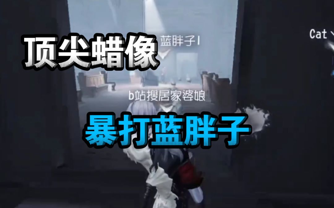video-3091200