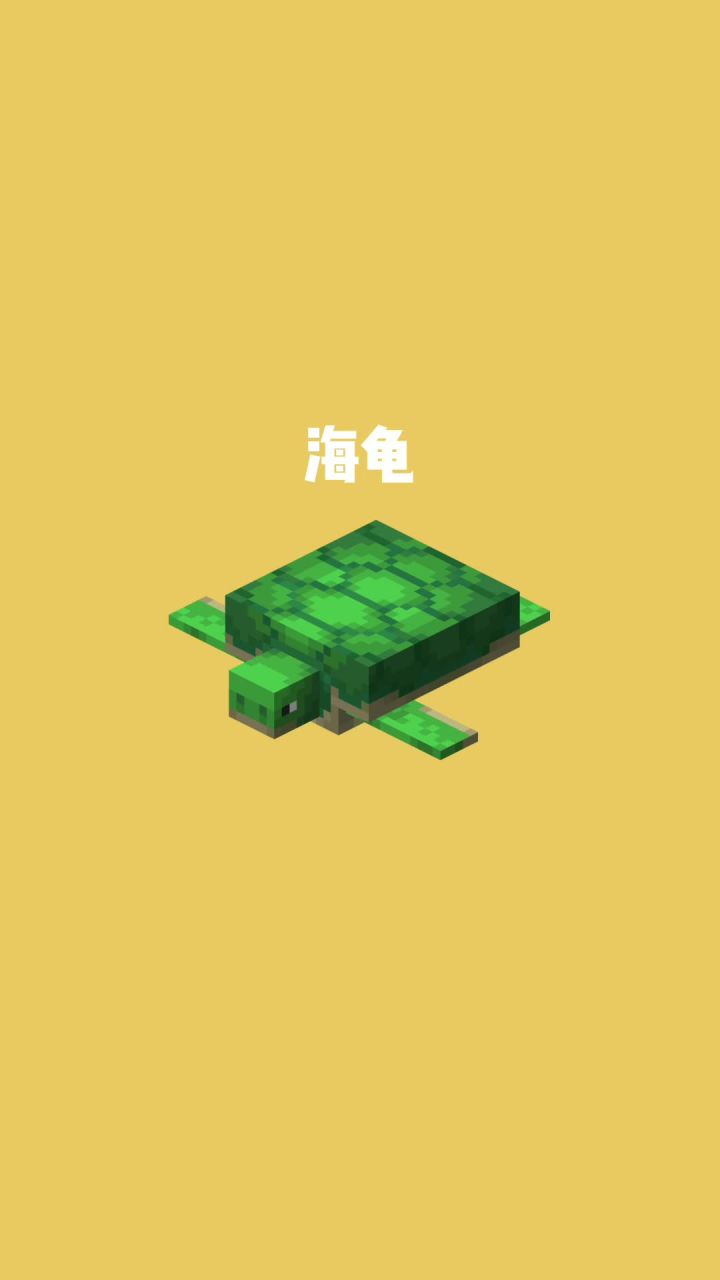 我的世界vs真实世界——海龟#我的世界动画截图