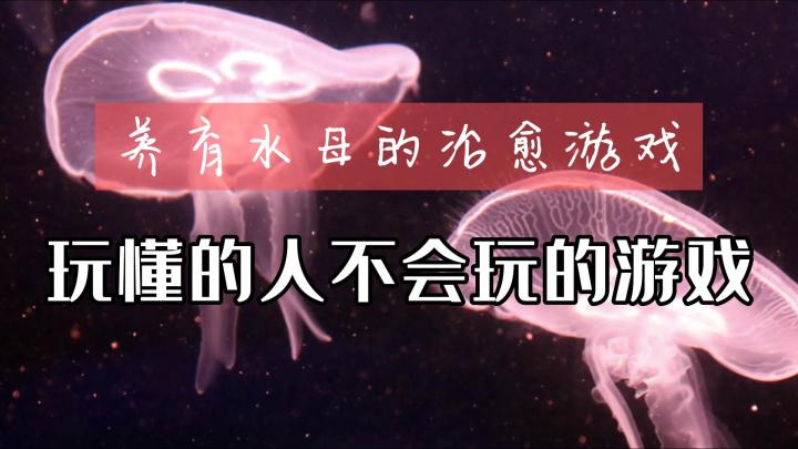【挂机】我希望自己能像水母一样成长#萌宠在哪里#截图