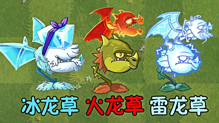 植物大战僵尸：三种不同属性的龙草，谁才是真正的老大？截图
