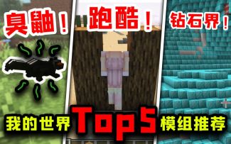 我的世界Top5：这臭鼬实在太上头！还有无尽钻石界和跑酷模组！