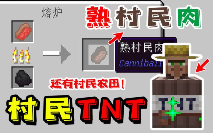 我的世界:可食用的村民!还有村民TNT和村民农田!截图