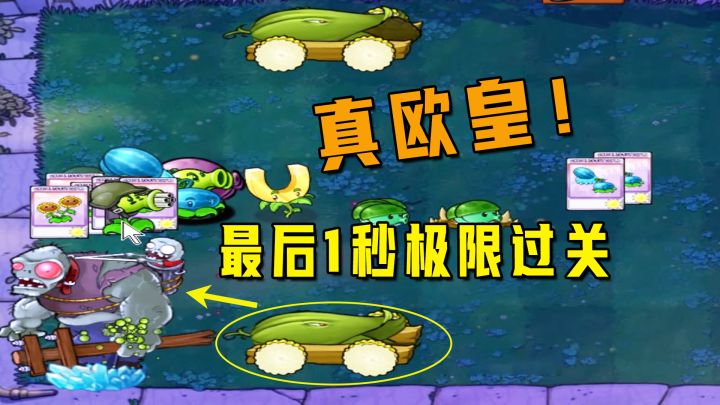 植物大战僵尸:门前大桥下(下),红眼大哥留步啊,我给你个宝贝截图