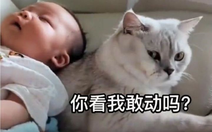 这个家没我，行吗~截图