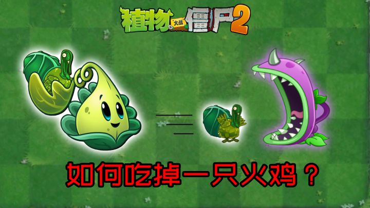 植物大战僵尸:如何吃掉一只鸡?截图