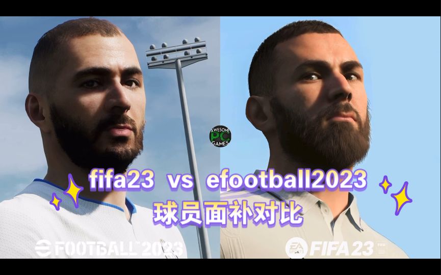 video-2981688