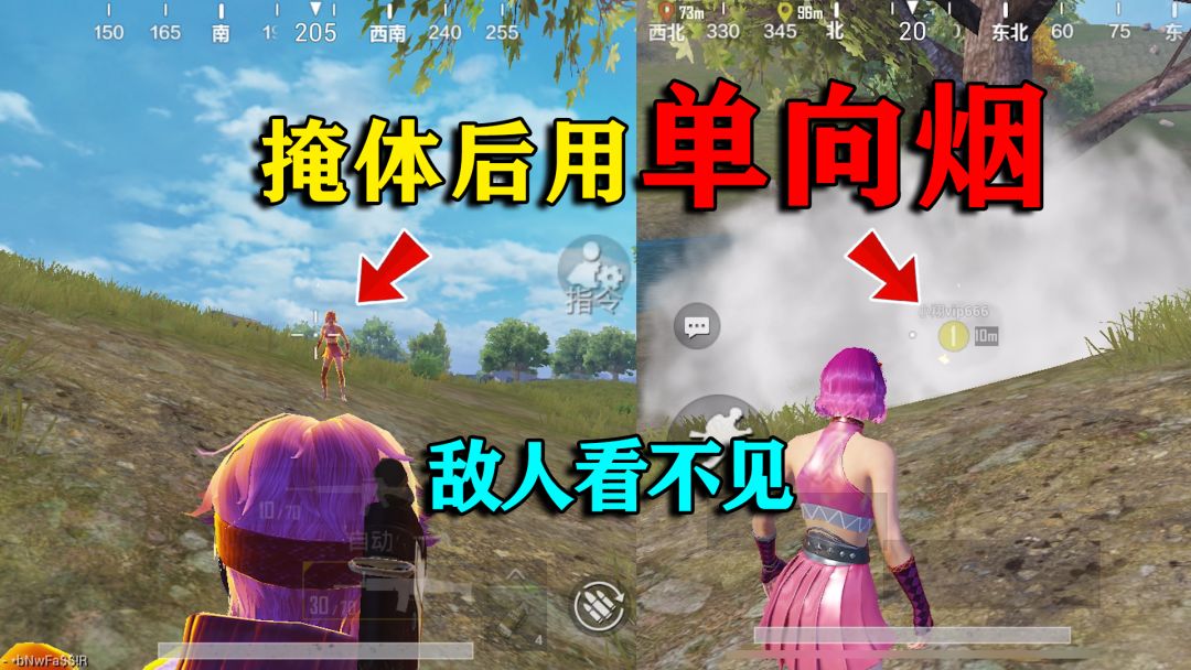 video-2165252