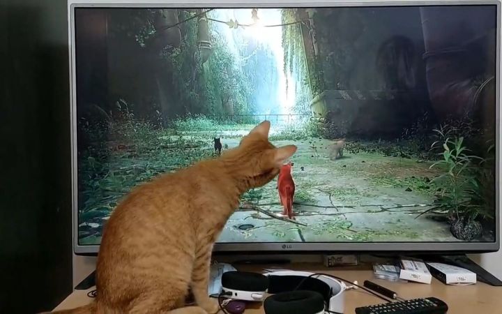 【三次元猫遇上二次元猫】当你玩《迷失》时家里的主子会有什么反应?截图