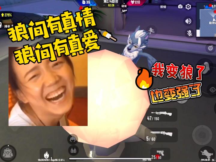 狼间有真情,狼间有真爱截图