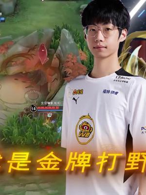 在赛场创造属于自己的奇迹，这就是金牌打野！#暖阳 #第三期秘宝星盘 #KPL截图