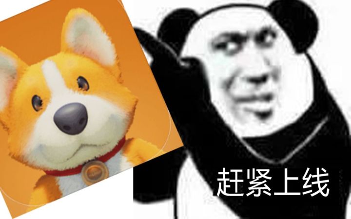 【动物派对】《珍 贵 影 像》截图