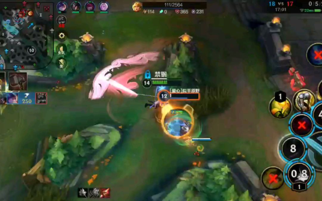 video-3691480