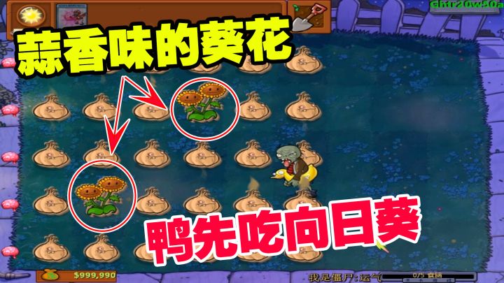 植物大战僵尸:蒜香味的葵花,飘逸的走位,鸭子先吃向日葵截图