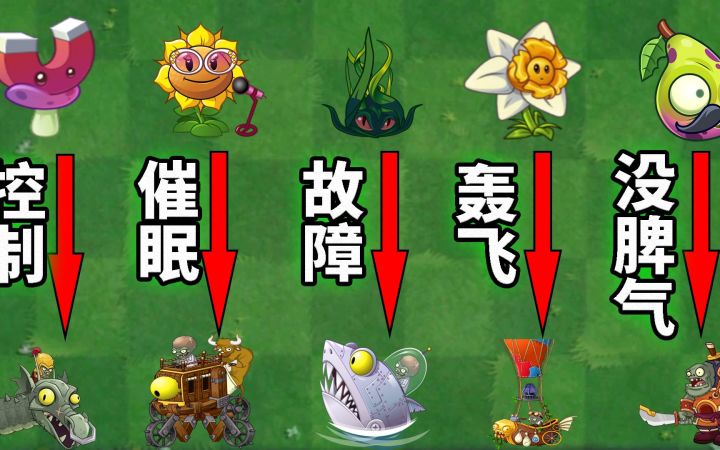 Pvz搞笑配音 我僵王天下无敌！截图