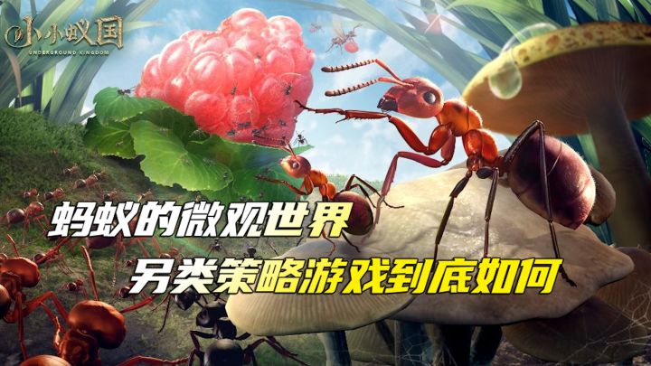 蚂蚁的微观世界到底如何呢截图