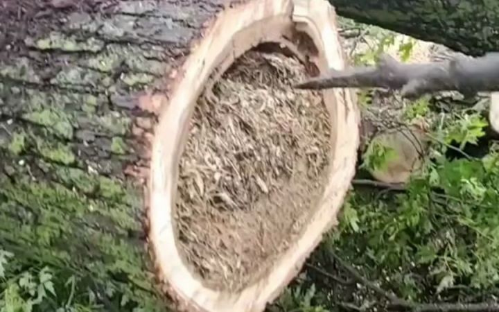 小干脆面:本来睡得好好的,一觉醒来家被拆了截图