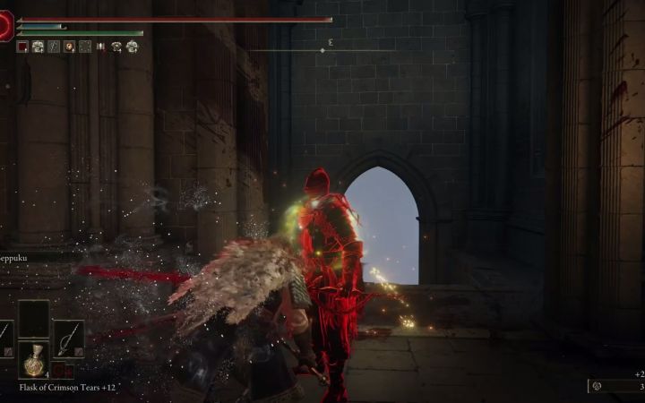 Oroboro PVP《艾尔登法环》战灰切腹截图