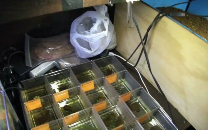 爬行动物房新增 3 项!!截图