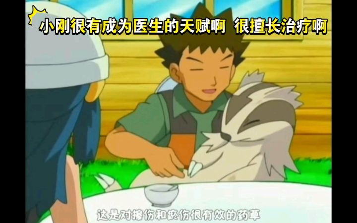 精灵宝可梦 小刚很有成为医生的天赋啊 很擅长治疗啊截图