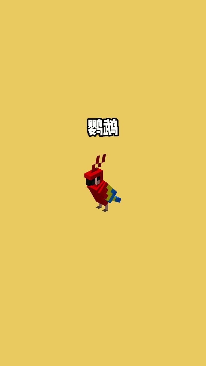 我的世界vs真实世界——鹦鹉#我的世界动画截图
