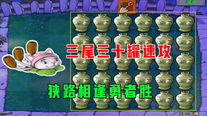 植物大战僵尸:三尾三十罐速攻,狭路相逢勇者胜截图