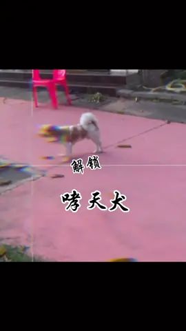 面对这些无良粉丝 是时候重拳出击了#包式吃鸡截图