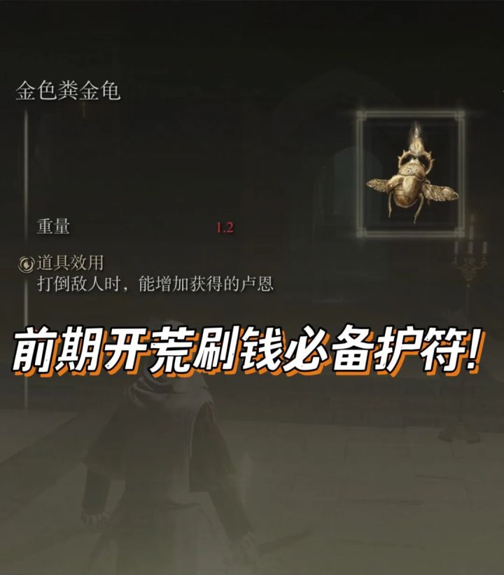 艾尔登法环金钱加成护符截图