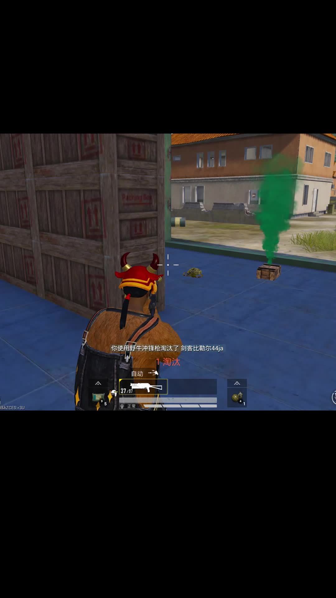 video-2119925
