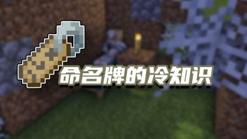 盘点几个我的世界关于命名牌的冷知识