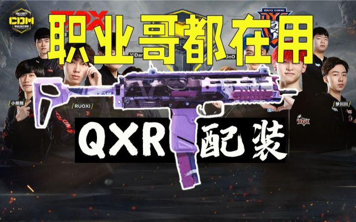 职业哥爱用的QXR到底怎么搭配?【使命召唤手游】截图