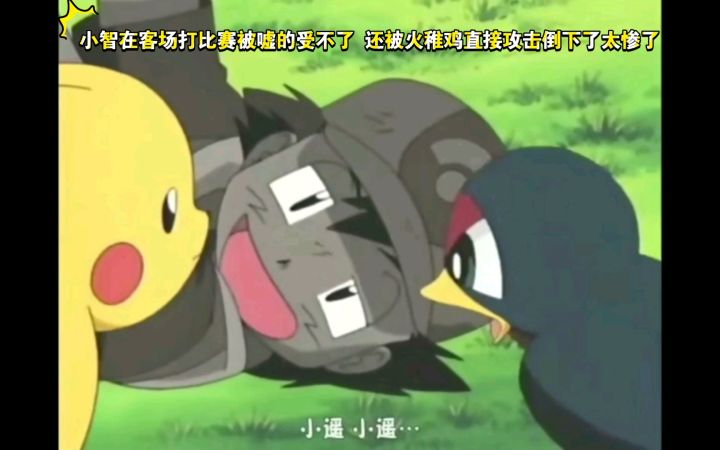 精灵宝可梦 小智客场打比赛被嘘的怀疑人生 还被火稚鸡直接攻击倒下了 太惨了截图