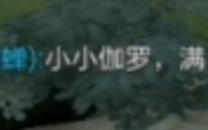 直播节目效果 被夸满嘴火车[爆笑349期]截图