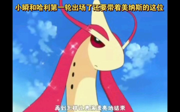 精灵宝可梦 小瞬和哈利第一轮出场了还有带着美纳斯的这位截图