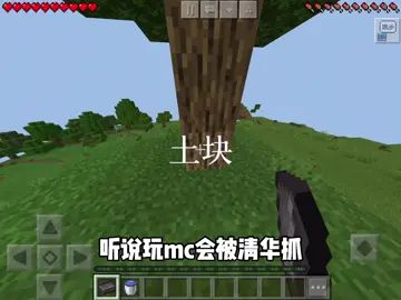 #逃离海默 #ym工作室 #火 #烤土块君 #非原创 @芯光 @天泽君截图