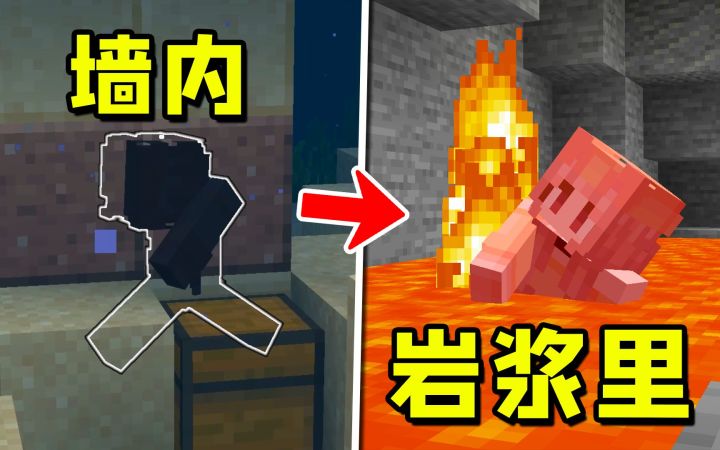 我的世界:顶级折磨的,5个极品种子!截图