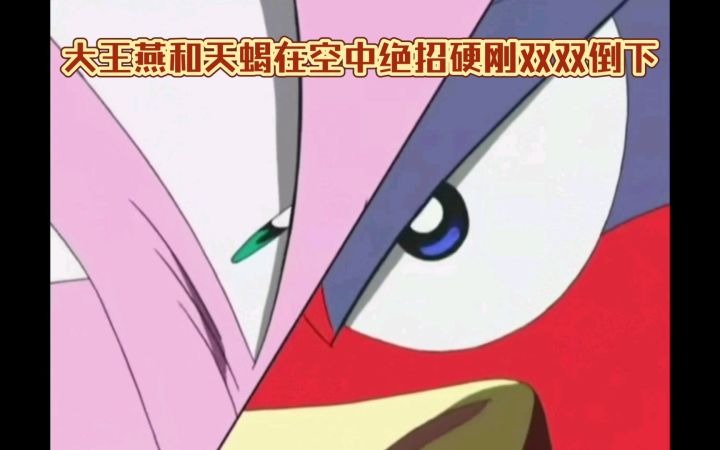 精灵宝可梦 大王燕和天蝎在空中绝招硬刚双双倒下截图