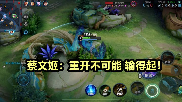 鲁班:重开 蔡文姬:重开不可能 输的起!截图