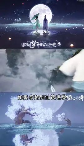 video-2114457