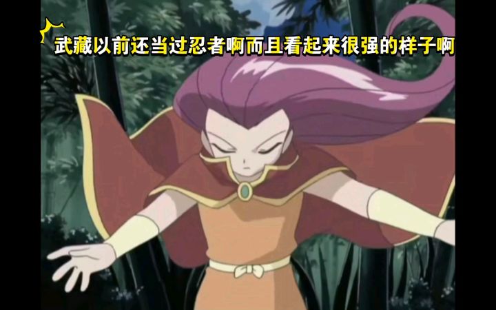 精灵宝可梦 武藏以前还当过忍者啊而且看起来很强的样子啊截图