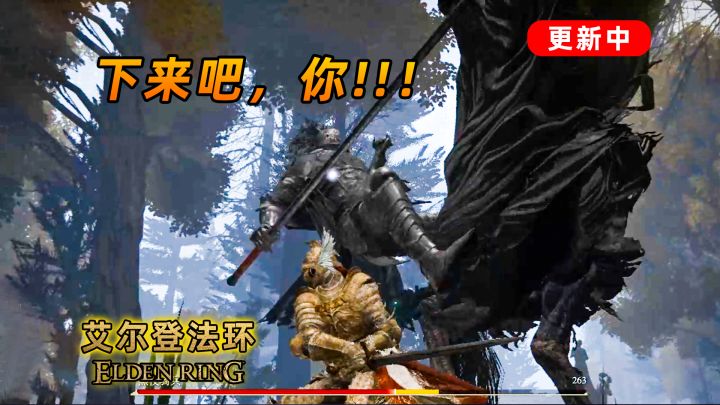 艾尔登法环:最强削韧战灰-准备架式 速通玩家的最爱截图