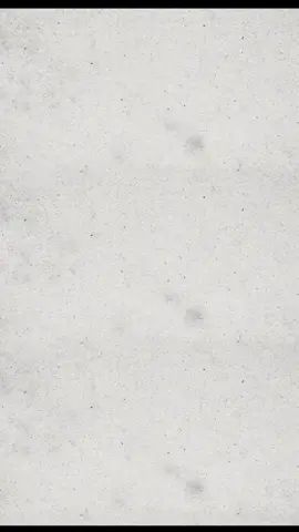 兄弟们来和我一起乐逍遥#一念逍遥截图
